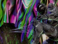 Disorient by xXDeViouS
